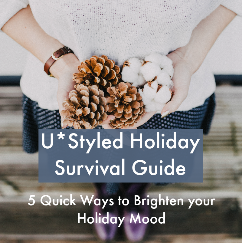 Ustyled Holiday Survival Guide